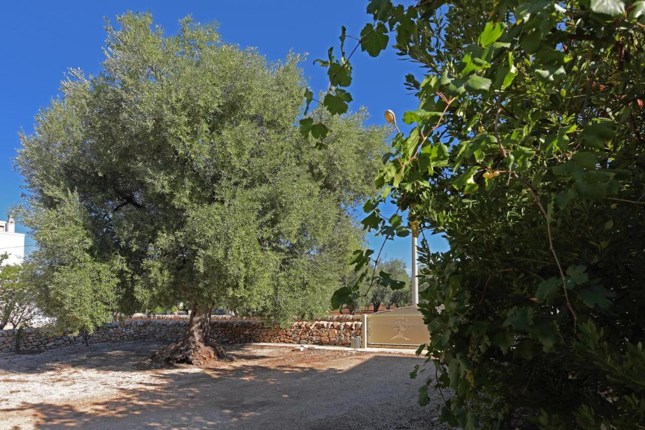 Villa Dimora Torre Bianca Ostuni Exterior foto