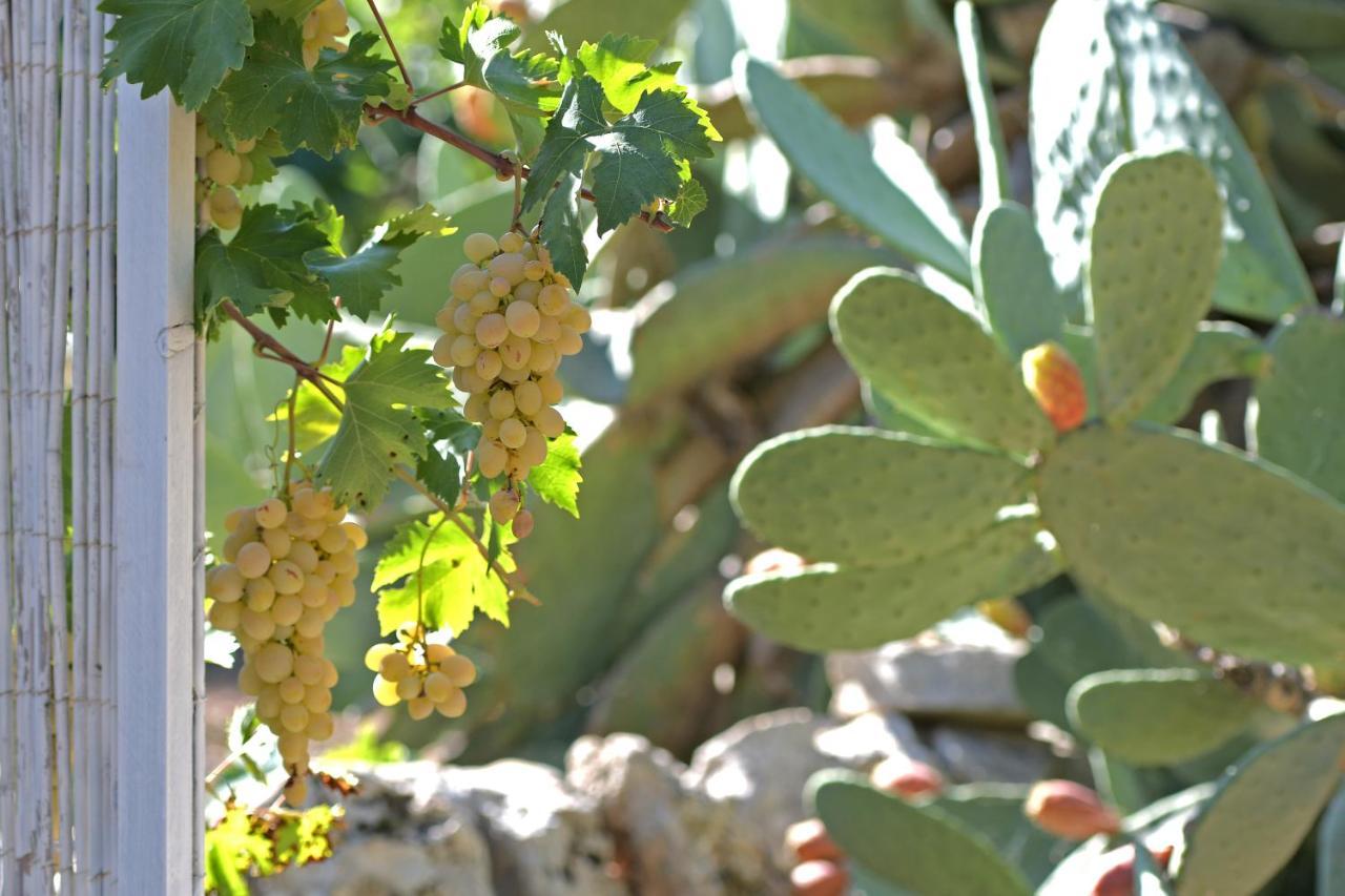 Villa Dimora Torre Bianca Ostuni Exterior foto